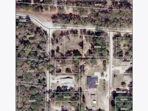 Atlantic Ave, Sorrento, FL 32776