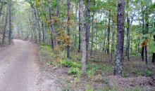 8 Squantum Pth Harwich, MA 02645