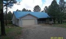 111 Alto Pines Trl Alto, NM 88312