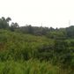 3701 Tag Road, Chattanooga, TN 37416 ID:563831