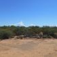 3955 S. Bantry Lane, Tucson, AZ 85735 ID:894189