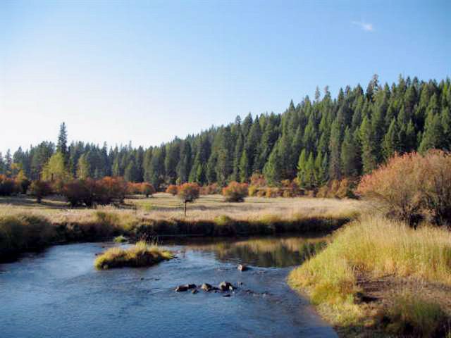 TBA Hwy 95, New Meadows, ID 83654