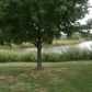 2913 Dorothy Dr, Aurora, IL 60504 ID:936446