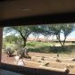 63110 E Harmony Dr, Tucson, AZ 85739 ID:832267