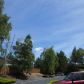 20320 Bothell Everett Hwy Apt D201, Bothell, WA 98012 ID:840199