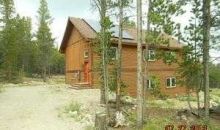 115 Trails End Fairplay, CO 80440