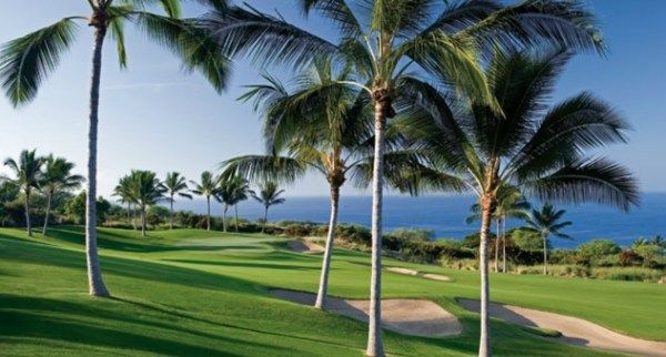 81-6719 KAUAIKI ST, Kealakekua, HI 96750