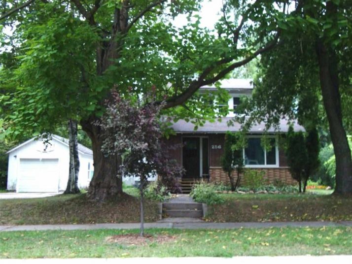 256 Wilson St, Amherst, WI 54406