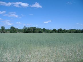 23031 E CR 1474, Christchurch, VA 23031