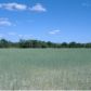 23031 E CR 1474, Christchurch, VA 23031 ID:950546