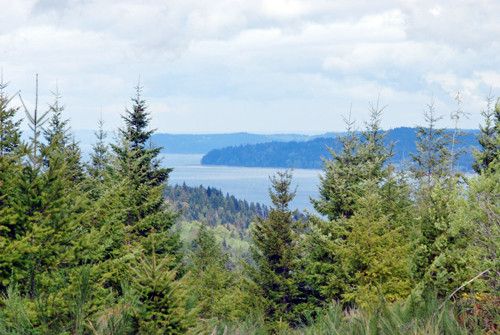 -xxx N Hamma Ridge Lane, Lilliwaup, WA 98555