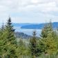 -xxx N Hamma Ridge Lane, Lilliwaup, WA 98555 ID:990675