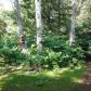 9159 N Tongass Highway, Ketchikan, AK 99901 ID:990749
