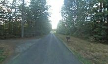 Scuffletown Rd Barboursville, VA 22923