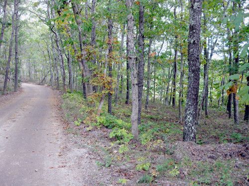 8 Squantum Pth, Harwich, MA 02645