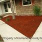 140 Candlewick Ave, Spring Hill, FL 34608 ID:783613