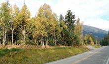 L43 Crow Creek Road Girdwood, AK 99587