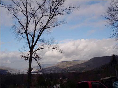 269 WELLS LN, Guild, TN 37340