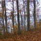 Tn 37880, Ten Mile, TN 37880 ID:884032