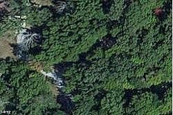 Timber, Camargo, IL 61919