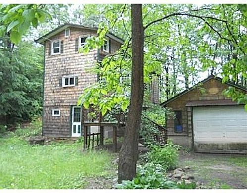 Birch, Shutesbury, MA 01072