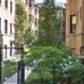 7635 N Greenview Ave Apt 1n, Chicago, IL 60626 ID:1033186