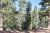W Strawberry Point Rd, Zvme A-40 Duck Creek Village, UT 84762