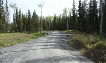36184 Tremolo Circle #2 Soldotna, AK 99669