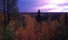 1085 Bogie Court Soldotna, AK 99669