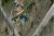 Snively Yellow Springs, OH 45387