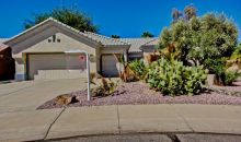 14740 W Via Manana Sun City West, AZ 85375