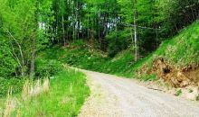 22 MARIAN ROAD Dugspur, VA 24325