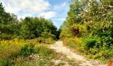 W Of Novy Rd & E Of Mitchell St & Braidwood, IL 60408