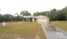 15121 Aubrey Ave Spring Hill, FL 34610