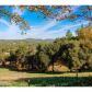 17345 Friendly Valley, Grass Valley, CA 95949 ID:1136637