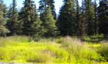L15 Scenic Breezes Court Kwethluk, AK 99621