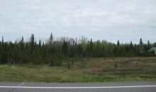 63850 Sterling Highway Clam Gulch, AK 99568