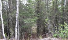 18170 Loveall Loop Clam Gulch, AK 99568