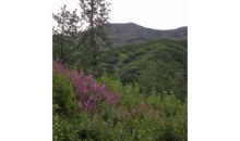 Lot 9 Cache Creek Recreational Trapper Creek, AK 99683