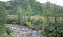 Lot 8 Cache Creek Recreational Trapper Creek, AK 99683