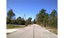 0 Pheasant Run Wesley Chapel, FL 33544