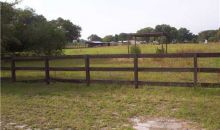 Tammy Lane Lane Wesley Chapel, FL 33543