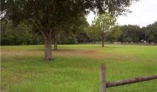 Tina Marie DR. Wesley Chapel, FL 33543