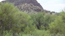 4717 Calle Don Tomas Tucson, AZ 85757