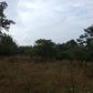 860 Thida Rd, Oil Trough, AR 72564 ID:1134812
