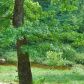 5670 West Road Rd, Mount Pleasant, AR 72561 ID:1165622
