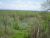 River Ridge Road Lot 5 Rosie, AR 72571