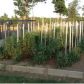 2818 Whipporwill, Salem, AR 72576 ID:1165748