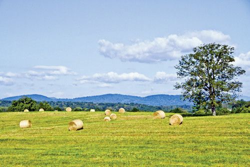 Secretarys Road, Charlottesville, VA 22902