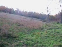 5281 Long Creek Road, Harrison, AR 72601